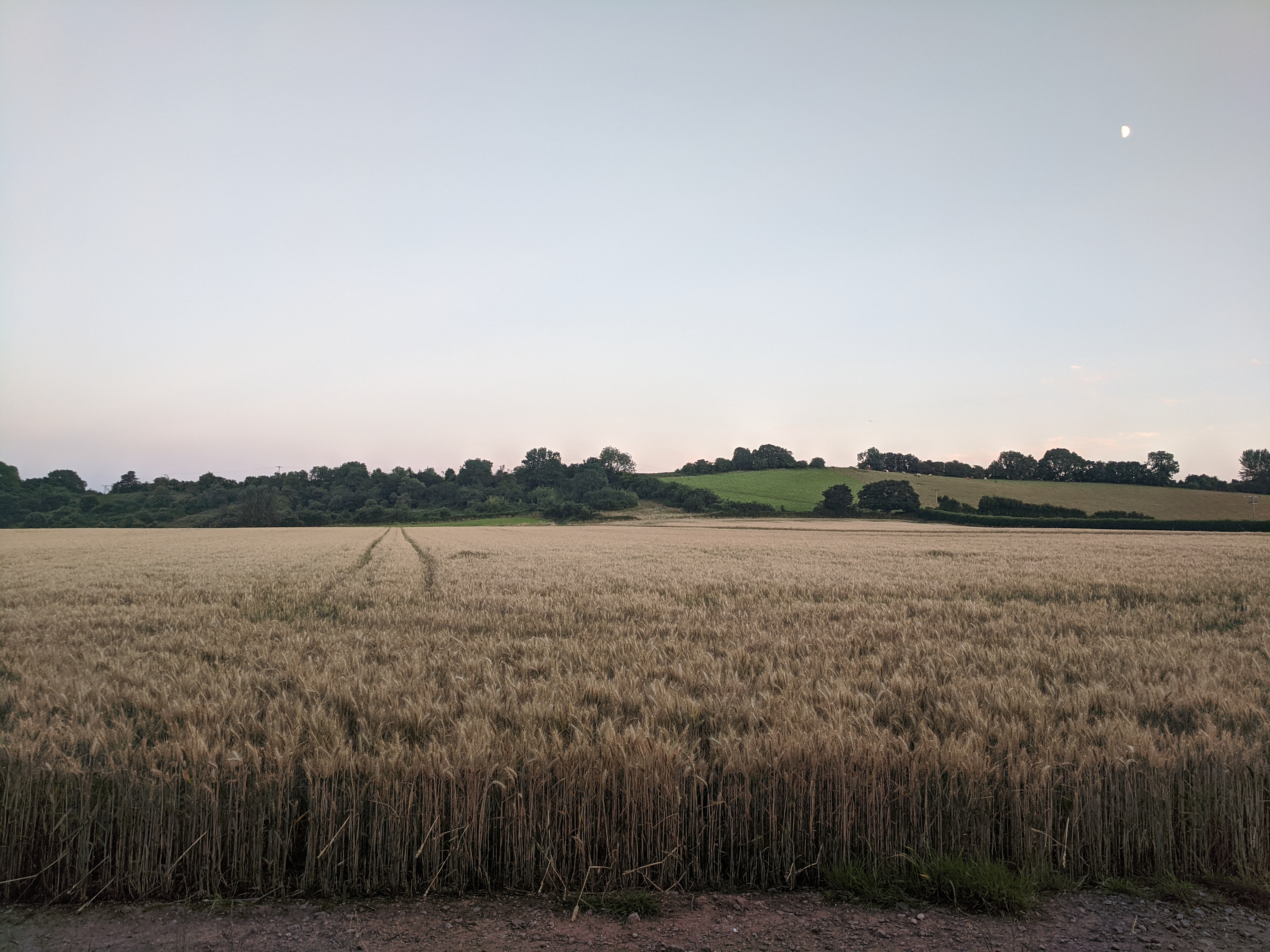 Field in Fenswood Farm, Long Ashton, Bristol