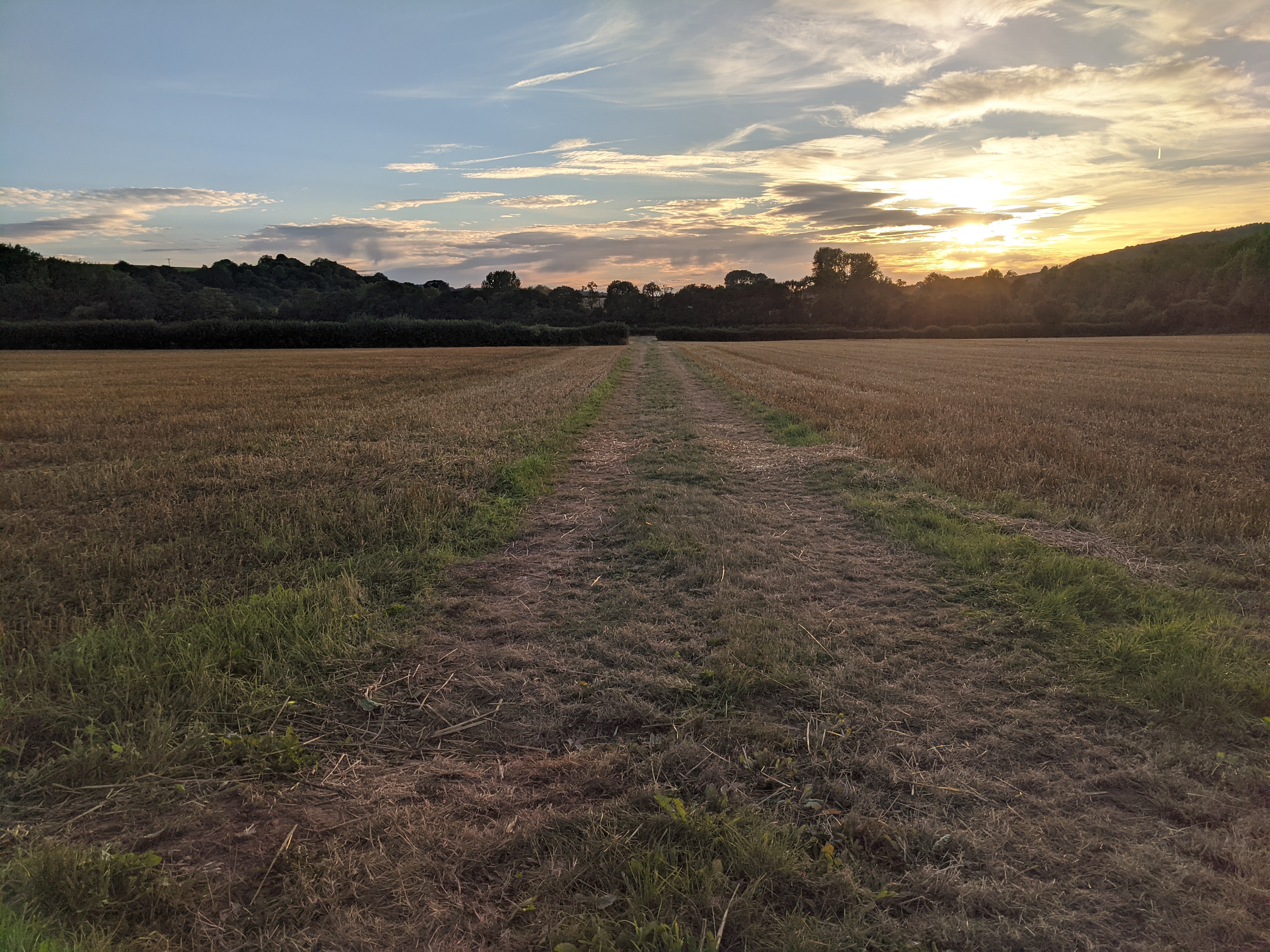Fenswood Farm fields after harvest, 7 September 2021