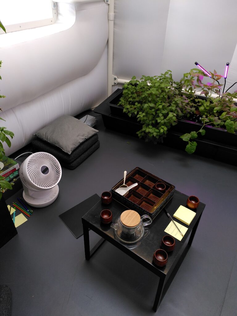 A table set for a tea ceromony in a Martian house amongst hydroponically grown plants
