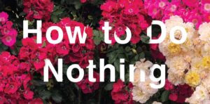 The words 'How to Do Nothing' surrounded by flowers; detail from How to Do Nothing by Jenny Odell cover art